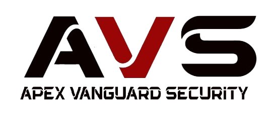 avs-security.com